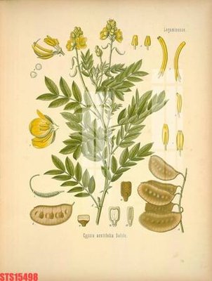 Tải file Tranh sơn dầu phương tây tổng hợp STS15498 (ảnh gốc) in gạch 3D