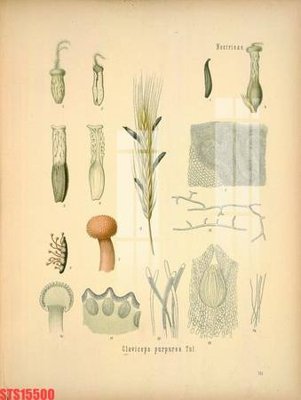 Tải file Tranh sơn dầu phương tây tổng hợp STS15500 (gốc) in tranh tráng gương