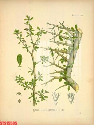 Mua file gốc Tranh sơn dầu phương tây tổng hợp STS15505 (chất lượng) tại Filetranh.com