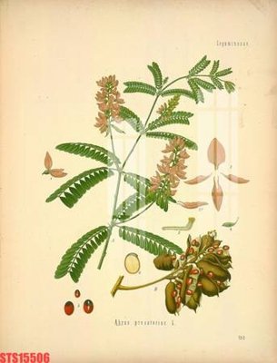 Tải file Tranh sơn dầu phương tây tổng hợp STS15506 (gốc) in trên mọi chất liệu