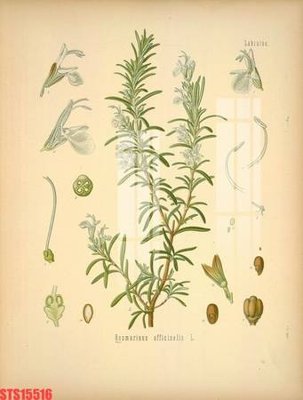 Tải file gốc Tranh sơn dầu phương tây tổng hợp STS15516 (bản PSD) đầy đủ layer