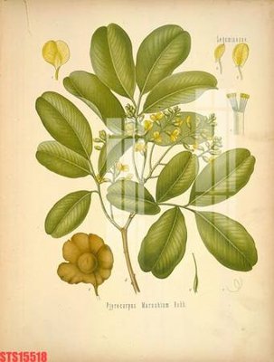 Tải file Tranh sơn dầu phương tây tổng hợp STS15518 (ảnh gốc) in tranh kính