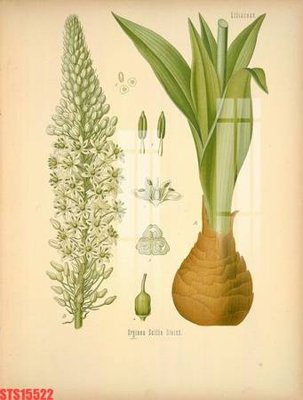 File gốc in mica Tranh sơn dầu phương tây tổng hợp STS15522 chất lượng