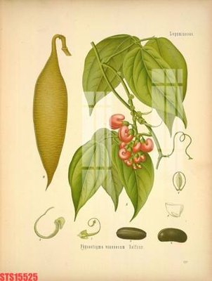 File ảnh Tranh sơn dầu phương tây tổng hợp STS15525 (gốc) in quảng cáo ngoài trời