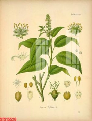 File gốc Tranh sơn dầu phương tây tổng hợp STS15526 (PNG) chất lượng cao