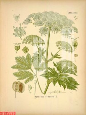 File gốc Tranh sơn dầu phương tây tổng hợp STS15530 (in tráng gương) nghệ thuật