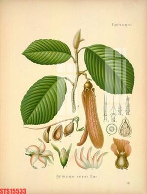 Tải file Tranh sơn dầu phương tây tổng hợp STS15533 (gốc) làm tranh trang trí