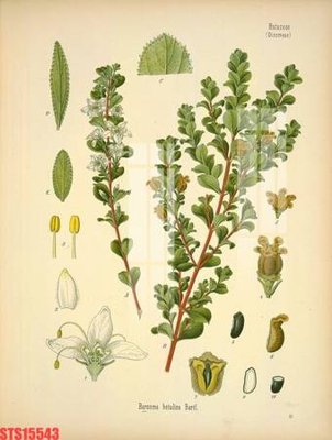 File tranh Tranh sơn dầu phương tây tổng hợp STS15543 (gốc) chủ đề thành phố