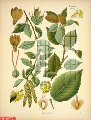 File in trần Tranh sơn dầu phương tây tổng hợp STS15546 (bản gốc) phong cảnh