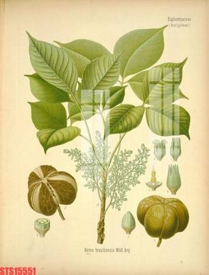 Mua file tranh gốc Tranh sơn dầu phương tây tổng hợp STS15551 tại Filetranh.com