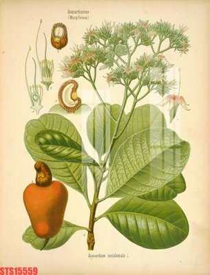 Tải file Tranh sơn dầu phương tây tổng hợp STS15559 (gốc) làm file in ấn