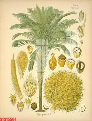 File gốc Tranh sơn dầu phương tây tổng hợp STS15564 (in lụa) trang trí tường