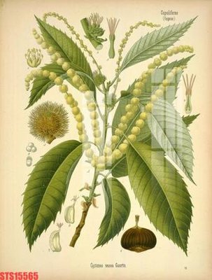 File in mica Tranh sơn dầu phương tây tổng hợp STS15565 (bản gốc) sắc sảo