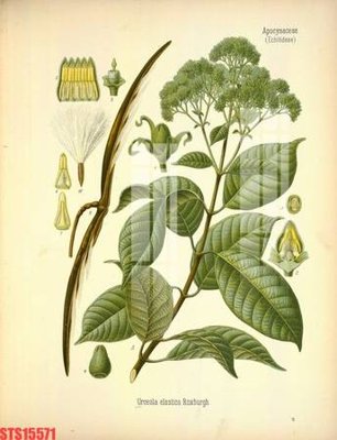 File tranh Tranh sơn dầu phương tây tổng hợp STS15571 (ảnh gốc) độ nét vượt trội