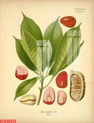 File in trần Tranh sơn dầu phương tây tổng hợp STS15573 (file gốc) phong thủy