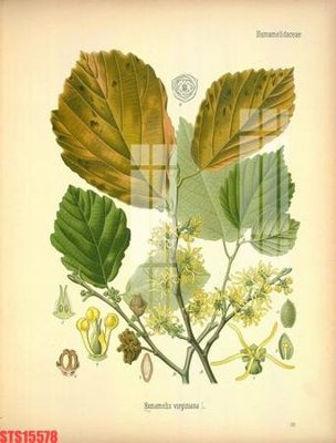 File in lụa Tranh sơn dầu phương tây tổng hợp STS15578 (phong cảnh) Tranh sơn dầu phương tây tổng hợp STS15578