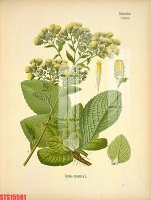 File gốc Tranh sơn dầu phương tây tổng hợp STS15581 (in 3D) nghệ thuật