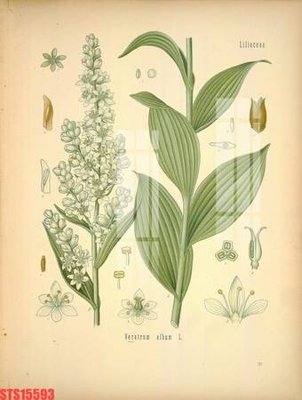 File gốc Tranh sơn dầu phương tây tổng hợp STS15593 (vector) cho in ấn