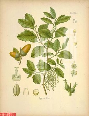 Tải file Tranh sơn dầu phương tây tổng hợp STS15608 (gốc) làm file tranh quảng cáo