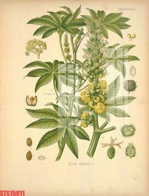 File tranh gốc Tranh sơn dầu phương tây tổng hợp STS15611 (bản quyền) Filetranh.com