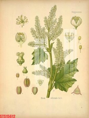 Download file Tranh sơn dầu phương tây tổng hợp STS15612 (gốc) cho xưởng in