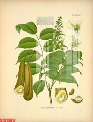 Ảnh gốc Tranh sơn dầu phương tây tổng hợp STS15617 (nét căng) in mica