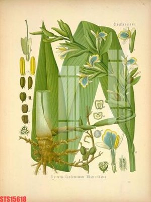 File gốc Tranh sơn dầu phương tây tổng hợp STS15618 (PNG) nền trong suốt