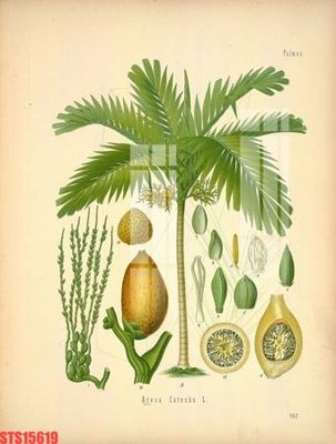 File gốc Tranh sơn dầu phương tây tổng hợp STS15619 (in lụa) trang trí tường