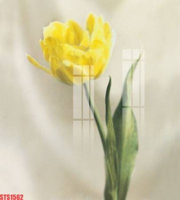 Tải file gốc in lụa Tranh sơn dầu phương tây tổng hợp STS1562 siêu nét