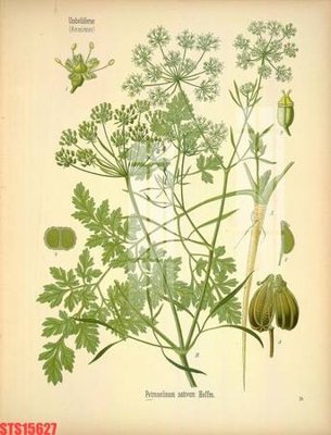 File gốc Tranh sơn dầu phương tây tổng hợp STS15627 (trang trí) phòng trẻ em