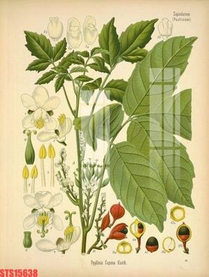 Download file Tranh sơn dầu phương tây tổng hợp STS15638 (chuẩn in) chất lượng cao