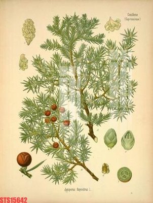 File PSD Tranh sơn dầu phương tây tổng hợp STS15642 (bản gốc) dễ dàng edit