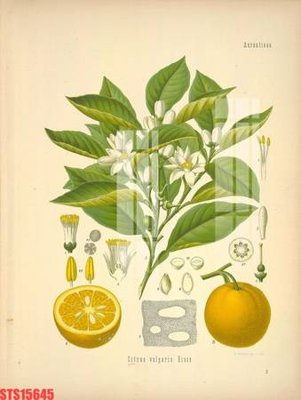 File tranh ảnh gốc Tranh sơn dầu phương tây tổng hợp STS15645 dùng cho in khổ lớn