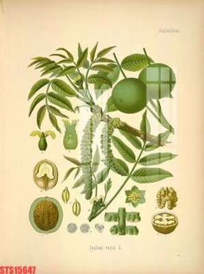 Tải về file tranh gốc Tranh sơn dầu phương tây tổng hợp STS15647 (để in quảng cáo)