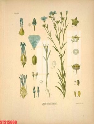 File PSD Tranh sơn dầu phương tây tổng hợp STS15660 (nguyên gốc) chất lượng cao