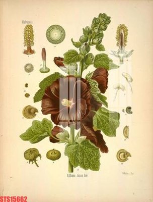 File gốc in ấn Tranh sơn dầu phương tây tổng hợp STS15662 độ phân giải cao