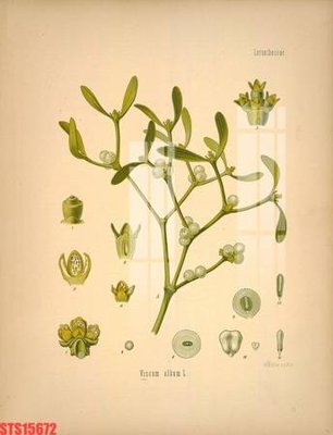 File tranh gốc Tranh sơn dầu phương tây tổng hợp STS15672 (bản đẹp) độc quyền