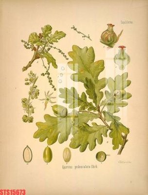 File tranh Tranh sơn dầu phương tây tổng hợp STS15673 (bản gốc) treo quán cafe