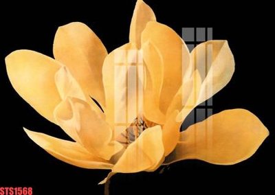 File gốc Tranh sơn dầu phương tây tổng hợp STS1568 (phong cách) tối giản