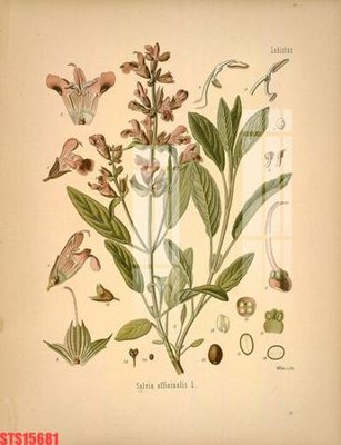 File tranh Tranh sơn dầu phương tây tổng hợp STS15681 (ảnh gốc) cho in ấn kỹ thuật số