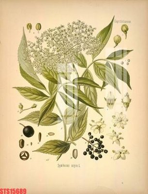 File gốc Tranh sơn dầu phương tây tổng hợp STS15689 (in tráng gương) sang trọng