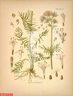 Tải file Tranh sơn dầu phương tây tổng hợp STS15690 (gốc) làm file in ấn