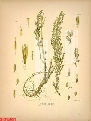 File in ấn Tranh sơn dầu phương tây tổng hợp STS15691 (bản gốc) cao cấp