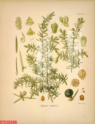 File tranh in mica Tranh sơn dầu phương tây tổng hợp STS15696 (độ phân giải cao)