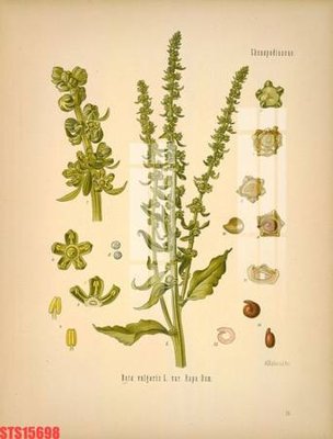 File ảnh Tranh sơn dầu phương tây tổng hợp STS15698 (gốc) dùng in Pano