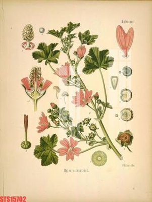 Tải file Tranh sơn dầu phương tây tổng hợp STS15702 (gốc) làm file quảng cáo