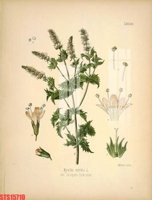 Tải file gốc Tranh sơn dầu phương tây tổng hợp STS15710 (in khổ lớn) không vỡ