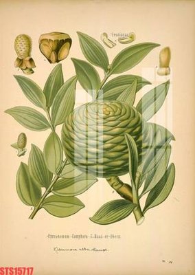 File in mica Tranh sơn dầu phương tây tổng hợp STS15717 (bản gốc) sắc sảo