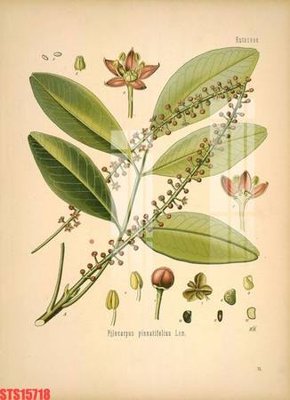 Tải file Tranh sơn dầu phương tây tổng hợp STS15718 (gốc) để in ấn ngay