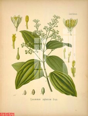 File ảnh Tranh sơn dầu phương tây tổng hợp STS15721 (gốc) dùng in Pano